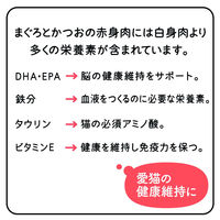 （お得なセット）黒缶 パウチ まぐろとかつお かつお節 しらす ささみ 舌平目 サーモン入り 総合栄養食 72袋（6種×各12袋）
