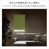 ホームテイスト 壁空け不要 つっぱりロールスクリーン 遮光タイプ イエロー SH-16-S60 1枚（直送品）