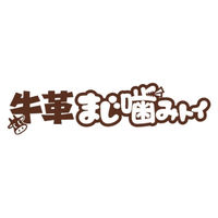 牛革まじ噛みトイ ブーツ 1個 犬用 おもちゃ ドギーマン デンタルケア
