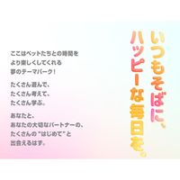 わんこのでるでる自飯器 犬用 国産 1個 ドギーマン