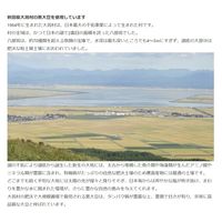 komachi-na- 犬 フリーズドライ 黒納豆 ふりかけ 国産 40g 1袋 ドッグフード おやつ