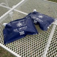 【保冷剤】 山善（YAMAZEN） ICE IMPACT 300 CIIS-300 1個