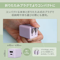 オウルテック PD20W 持ち歩きたくなる可愛いニュアンスカラーのAC充電器 ペールアイリス OWL-APD20A1C1R-PU 1個