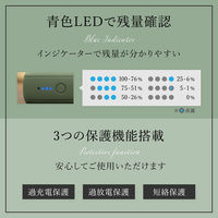 オウルテック 10000mAhで196g Type-C入出力 モバイルバッテリー ワインレッド OWL-LPB10012-RWR 1個