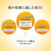 ヘパソフト 薬用顔ローション 100g ロート製薬　2個