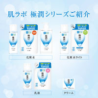 肌ラボ 極潤 ヒアルロン乳液 詰替 140ml×2個 ロート製薬