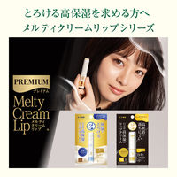 メンソレータム 薬用リップ リペアワン ミントメントールの香り 2.3g ×2個 SPF25・PA++ ロート製薬