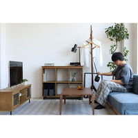 市場 ポールハンガー コニー ブラウン ILH-3664BR 1台