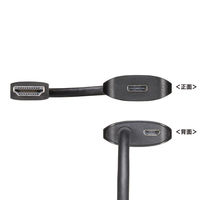 サンワサプライ HDMI-Type-C(DP Altモード)変換アダプタ(4K/60Hz) AD-HD26TC 1個