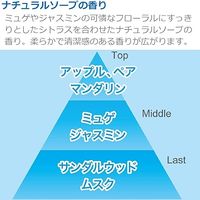 消臭力 プラグタイプ 消臭剤 芳香剤 部屋 リビング 玄関 ナチュラルソープの香り つけかえ 20mL 1セット（1パック（2個入）×5） エステー