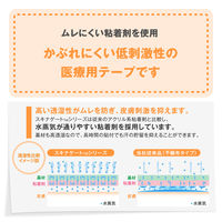 ニチバン スキナゲート スパット 25mm×9m SGS259 1箱（1巻入）