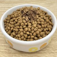 ビストロ フリーズドライ 国産まぐろ添え 小粒 560g（140g×4袋）1袋 スマック ドッグフード