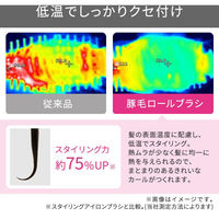 くるくるドライヤー カールドライヤー マイナスイオン 豚毛ブローブラシ 豚毛ロールブラシ TC530A-N テスコム 1個（直送品）