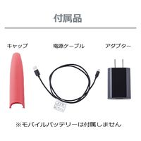 ヘアアイロン USB給電式 コンパクト セラミックコーティング 海外対応  ピンク ISC100 P テスコム 1個（直送品）