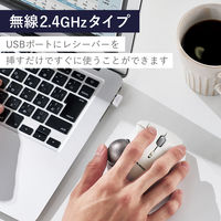 トラックボール マウス ワイヤレス 無線 IST 5ボタン 人工ルビーユニット 白 M-IT10DRWH エレコム 1個（直送品）