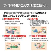 東芝 TY-CDM2（W） 1台