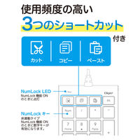 テンキーボード 有線 ショートカット3個付き USB-A接続 ブラック TNK-SU238BK 1個 ナカバヤシ