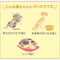 （お得なアソート）健康缶エネルギー補給 40g アソート 72袋（3種×24袋）アイシア キャットフード 猫 パウチ