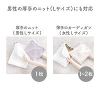 ダイヤ フランドリーおしゃれ着ネットスクエア 058136 1個