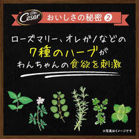 （お得なアソート）シーザー 犬 自然素材レシピ 平飼いチキンミックス 14個（7個×2種）ドッグフード トレイ ウェット