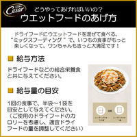 （お得なアソート）シーザー 蒸しささみシリーズ 70g 64袋（2種×32個）ドッグフード 犬 ウェット パウチ