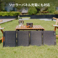 ポータブル電源 Jackery 100Plus コンパクト ミニ リン酸鉄 蓄電池 充電器 99Wh JE-100A 1台