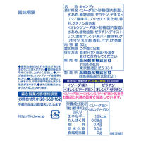 むにむにグーハイチュウ 10袋 森永製菓 ソフトキャンディ ハイチュー