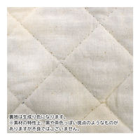 コッカ レッスンバッグ カーズ ディズニー CG-2947 5枚