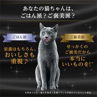 シーバ デュオ 厳選お魚とお肉味グルメセレクション 200g 12個 キャットフード 猫 ドライ