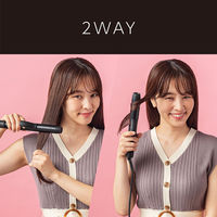 2ＷＡＹヘアアイロン VSIー3050/KJ 1台