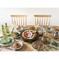 アピックスインターナショナル グリルマイスター AGPー350BK 1台