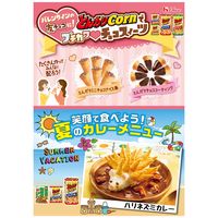 とんがりコーン あっさり塩 68g 10箱 ハウス食品 スナック菓子 おつまみ　コーンスナック