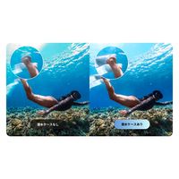 Insta360 ONE RS 潜水ケース CINSBAQC 1個（直送品）