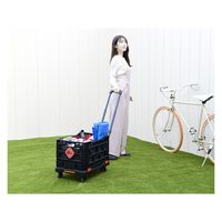 BIGANT フォールディングストロングコンテナ&キャリーセット YBA-C100 1台（直送品）