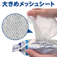 ウェットティッシュ　除菌シート　キレイキレイ99.99%除菌ウェットシート 1箱（30枚入×24個）