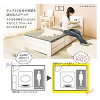 【軒先渡し】萩原 チェスト付きベッド 幅1015×奥行2085×高さ785mm ホワイトウォッシュ MB-5059S-WS-R 1台（直送品）