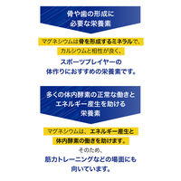 【アウトレット】スポーツミネラル MGウォーター（マグネシウムウォーター）LIGHT 500ml 1セット（48本）