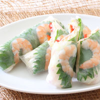 ライスペーパー 120g 5袋 ユウキ食品　生春巻き