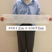 ホコリとりフィルターお風呂のドア用 タテ約12cm×ヨコ約70cm 5個（3枚入×5） 東洋アルミエコープロダクツ