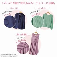 日立 衣類スチーマー CSI-RX70 C 1台