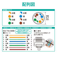 LANケーブル 100m cat5e より線 箱入り(リレックス) ブルー LD-CT2/BU100YR エレコム 1本