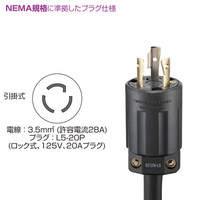 サンワサプライ 19インチサーバーラック用コンセント（20A） TAP-SV2012B（直送品）
