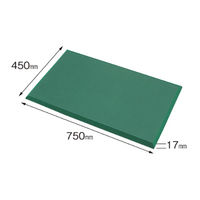 カーボーイ 足腰マットESD Sサイズ グリーン AM-01ESD 1枚