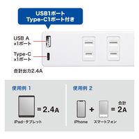 延長コード 電源タップ 2m 2P（ピン） 2個口 シャッター ホワイト TAP-B101UC-2W サンワサプライ 1本