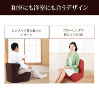 MTG Dr. Chair茶 ST-DC2039F-B 1個