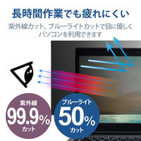 プライバシーフィルター 13.3W型 のぞき見防止 抗菌 ブルーライトカット EF-PFKDY02 エレコム 1個（直送品）