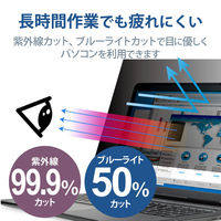 プライバシーフィルター 14W型 のぞき見防止 抗菌 ブルーライトカット EF-PFK14W2E エレコム 1個（直送品）