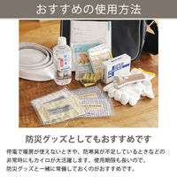 貼る カイロ 1個（60枚入） レギュラーサイズ エステー  オリジナル（わけあり品）