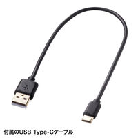 サンワサプライ Microsoft Surface専用充電式極細タッチペン(ブラック) PDA-PEN57BK 1本