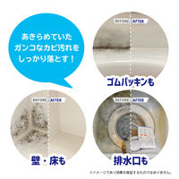 リベルタ カビダッシュ 特濃ストロングジェルR 500ML 886036 1ケース(500ML×24個)（直送品）